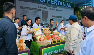 Presiden Prabowo menghadiri panen raya Karawang