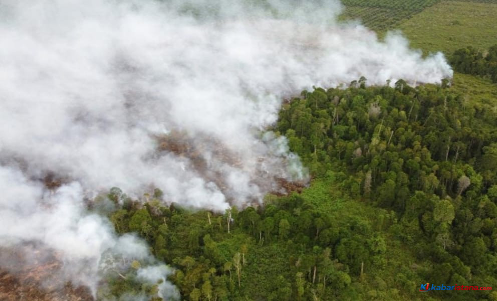 asap kebakaran gambut Aceh Barat