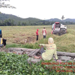 Dari Dugaan hingga Klarifikasi: Mengurai Fakta Penyaluran BBM Bersubsidi di Luwu Timur