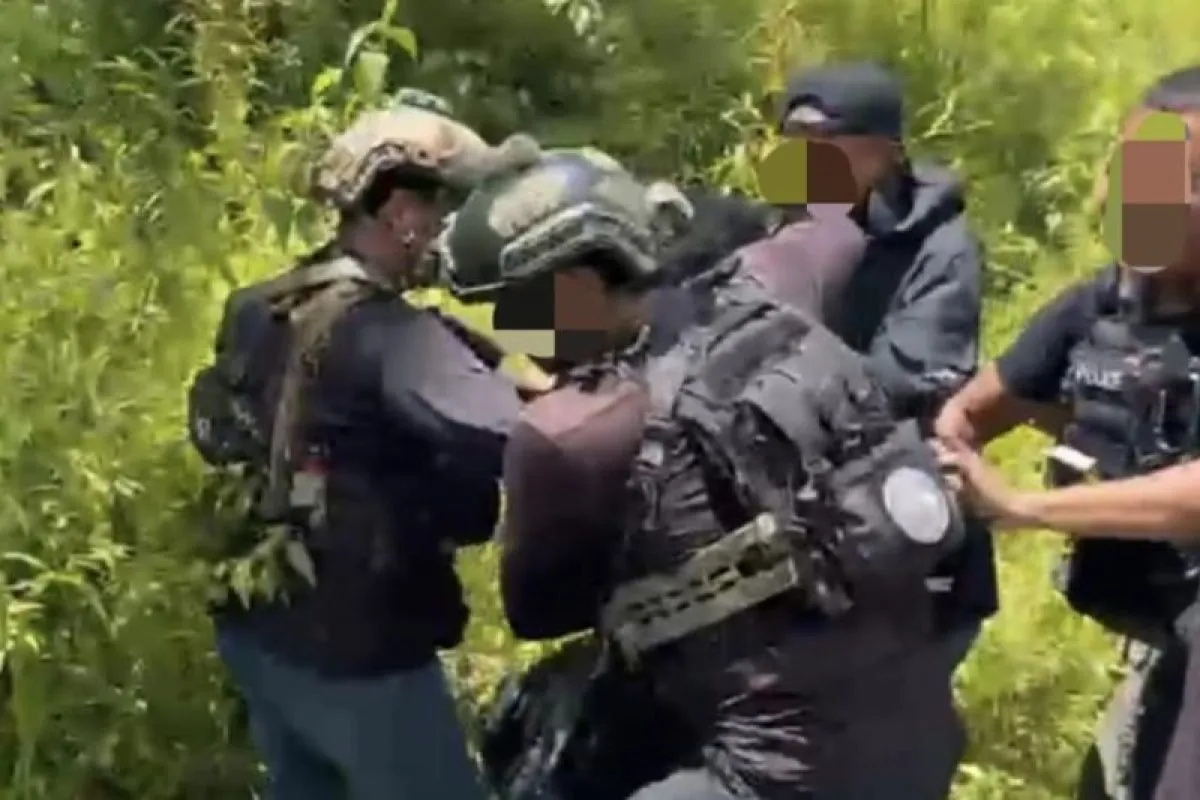 Petugas dari Satgas ODC 2026 melakukan penangkapan terhadap anggota Kelompok Kriminal Bersenjata (KKB) di wilayah Papua