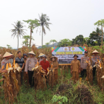 panen jagung ketahanan pangan Lombok Timur bersama Baznas RI dan pemerintah daerah