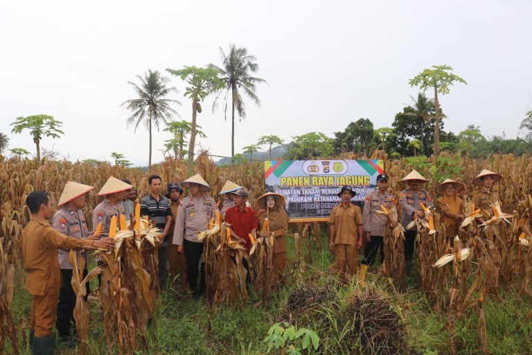 panen jagung ketahanan pangan Lombok Timur bersama Baznas RI dan pemerintah daerah