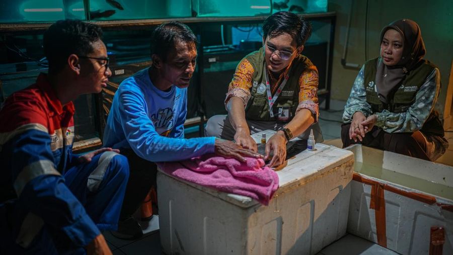 inovasi KPI Plaju dalam budidaya ikan berkelanjutan oleh masyarakat