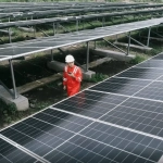 PLN IP Amerika Latin ekspansi energi bersih