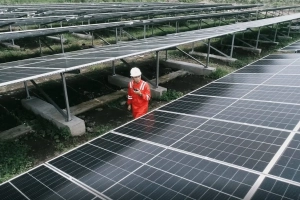 PLN IP Amerika Latin ekspansi energi bersih