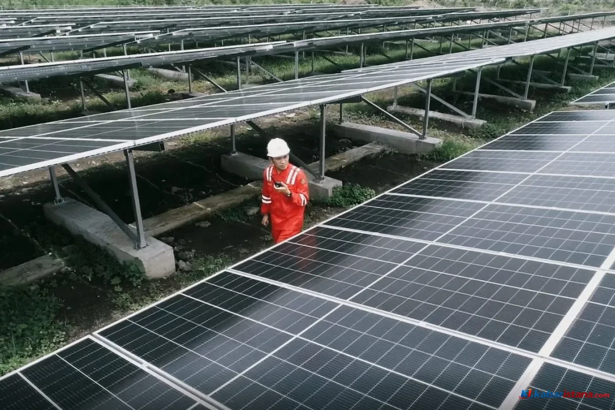 PLN IP Amerika Latin ekspansi energi bersih