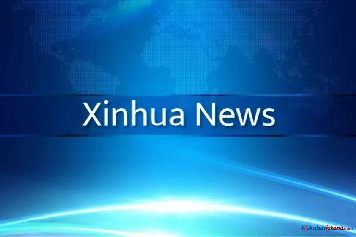 China dan Empat Negara Nordik Perkuat Dialog Tata Kelola AI Global